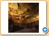 2.1.01-Cueva de Altamira (Santillana-Santander) (2)-Museo-Neocueva-Sala principal